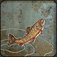 Stone mosaic with painted stone fish and fly by Jim and Holly Cutting